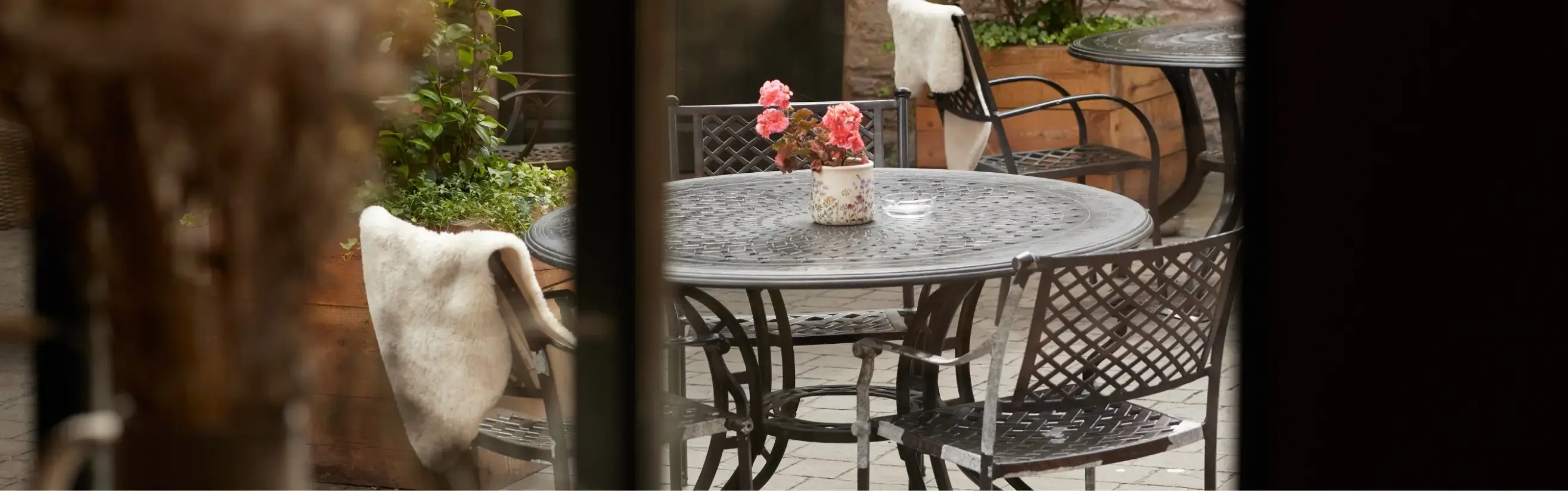 Background hero image