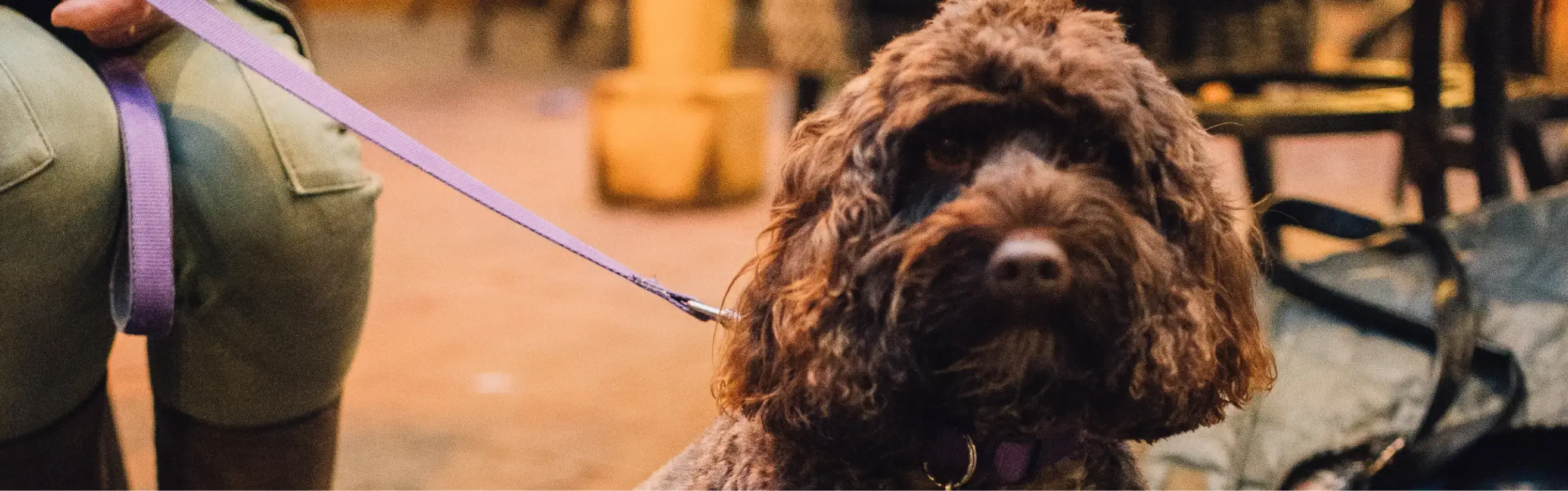 Background hero image